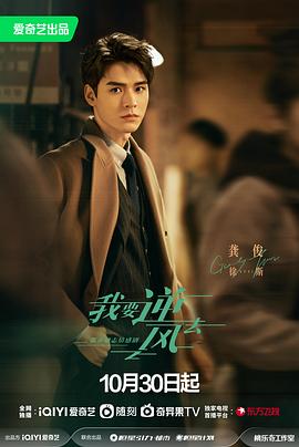 亚洲精品视频片海报剧照